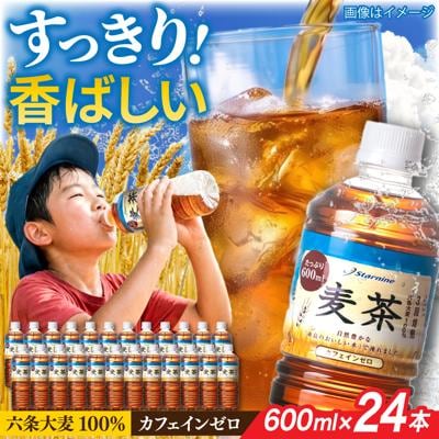 麦茶 600ml × 24本  糸島市/スターナイン お茶 ペットボトル [ARM005]