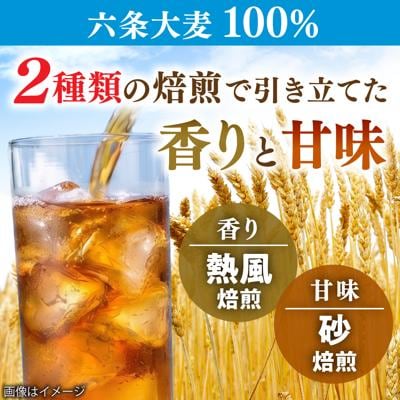 麦茶 600ml × 24本  糸島市/スターナイン お茶 ペットボトル [ARM005]