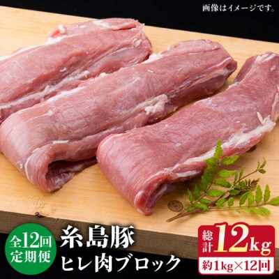 【全12回定期便】糸島豚 ヒレ肉 ブロック 1kg(1本350g前後×3本)《糸島》[ACA235]
