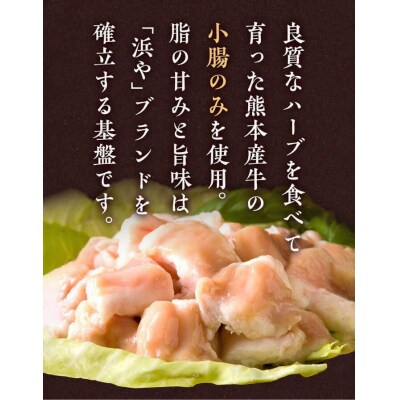 【全6回定期便】国産・完全 無添加 もつ鍋セット (約2人前) 白みそ味[AFF006]