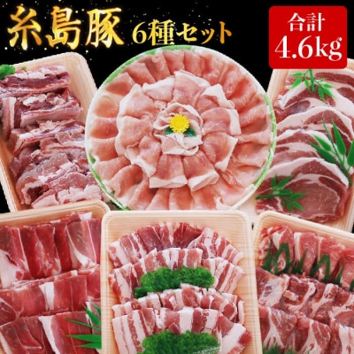 合計4.6kg!糸島豚 食べ尽くしセット 糸島/トラヤミートセンター [AJD005]