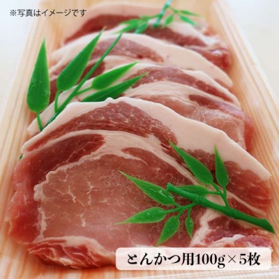 合計4.6kg!糸島豚 食べ尽くしセット 糸島/トラヤミートセンター [AJD005]