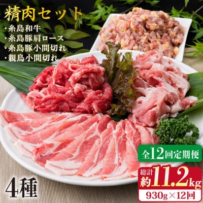 【全12回定期便】牛肉 豚肉 鶏肉 日常使いの精肉セット 930g 2-3人前4種[ACA195]