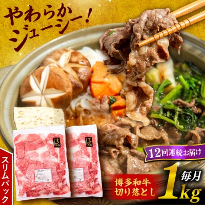 【全12回定期便】 博多 和牛 切り落とし 1kg(500g × 2P) [ABH016]