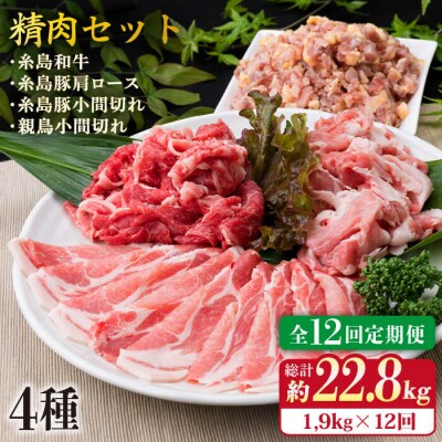 【全12回定期便】牛肉豚肉鶏肉 日常使いの精肉セット1,930g 4-5人前4種 [ACA199]