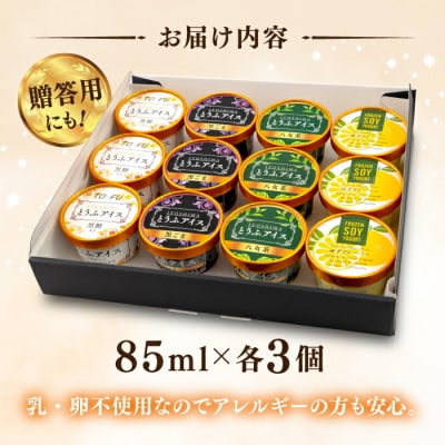 【乳・卵不使用】豆腐屋のとうふアイス ヨーグルト詰め合わせ 12個/ 高取食品 [AHG011]