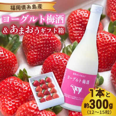 【先行受付】ヨーグルト梅酒×あまおう(12-15粒)【2025年12月以降発送】[AIK016]