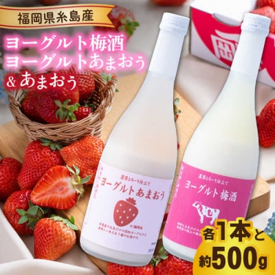 【先行受付】【春】ヨーグルトあまおう&梅酒×あまおう 【2026年2月以降発送】[AIK019]