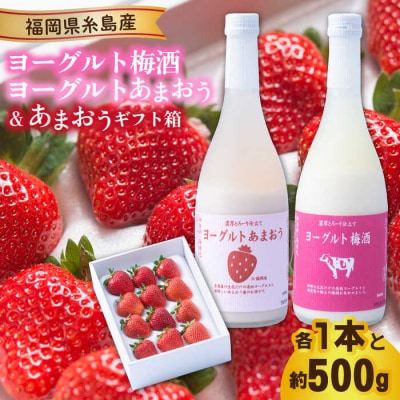 【先行受付】ヨーグルトあまおう&梅酒×あまおう【2025年12月以降発送】[AIK020]