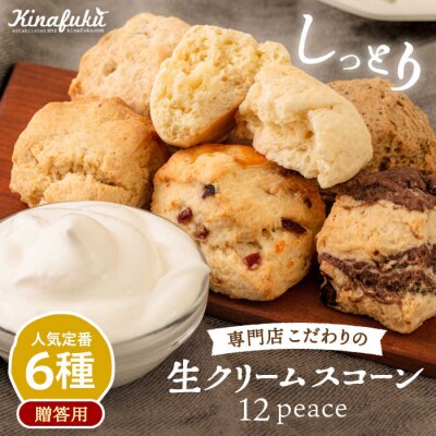 【贈答用】 定番 スコーン 6種 12個セット 【キナフク】[AFA006]