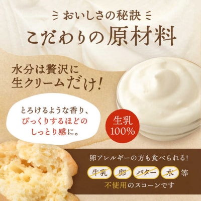 【年内発送】【贈答用】 定番 スコーン 6種 12個セット 【キナフク】[AFA006]