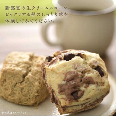 【年内発送】【贈答用】定番 スコーン + 明太 チーズ スコーン 計12個セット [AFA012]