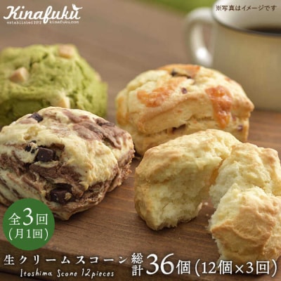 【全3回定期便】 スコーンのイメージ変えてみませんか?定番スコーン 12個セット [AFA013]