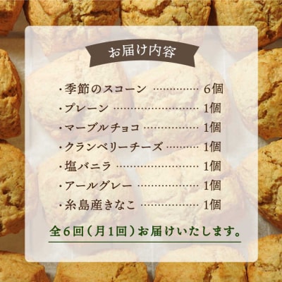 【全6回定期便】定番/季節のスコーン 12個セット 糸島市 [AFA016]