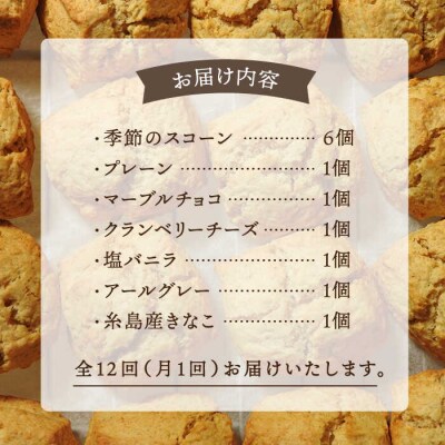 【全12回定期便】定番/季節のスコーン 12個セット  糸島市  [AFA017]