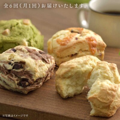 【全6回定期便】おすすめスコーン10個 + キナフクブレンド 3PACKセット [AFA019]