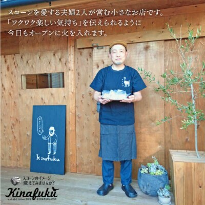【全3回定期便】明太 チーズ スコーン 12個セット   糸島市 [AFA021]