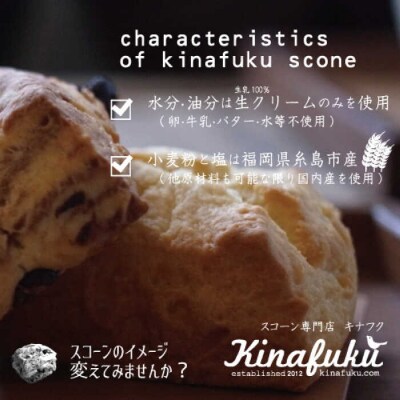 【全12回定期便】明太 チーズ スコーン 12個セット   糸島市  [AFA023]