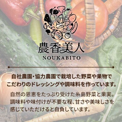 【全3回定期便】糸島そだちのにんにく生ドレッシング(285ml × 1本) [AAG036]