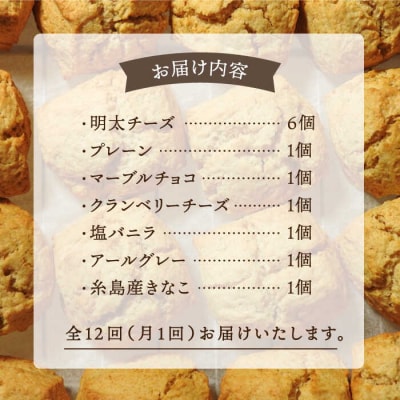 【全12回定期便】定番スコーン + 明太チーズスコーン 計12個セット 糸島市 [AFA026]