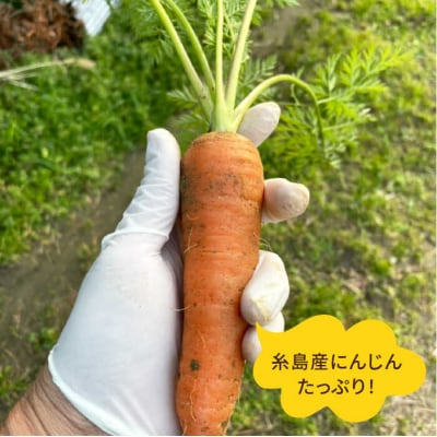 【全12回定期便】糸島そだちのにんじん 生ドレッシング (285ml × 1本) [AAG050]