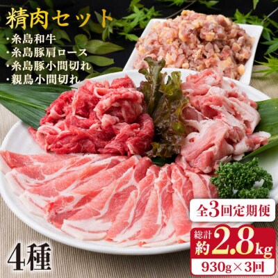 【全3回定期便】牛肉 豚肉 鶏肉 日常使いの精肉セット 930g 2-3人前 4種[ACA193]
