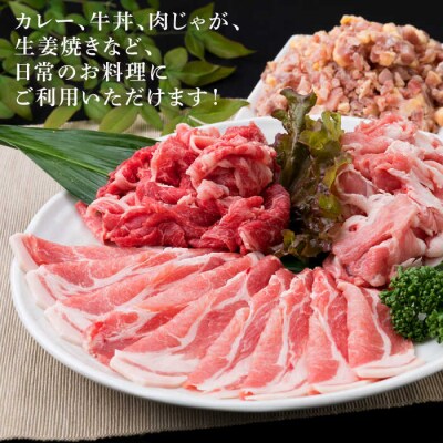 【全3回定期便】牛肉 豚肉 鶏肉 日常使いの精肉セット 930g 2-3人前 4種[ACA193]
