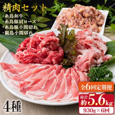 【全6回定期便】牛肉 豚肉 鶏肉 日常使いの精肉セット 930g 2-3人前 4種[ACA194]