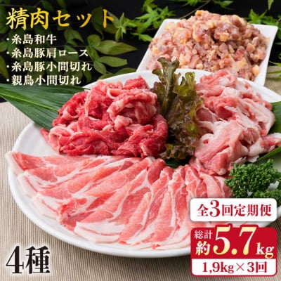【全3回定期便】牛肉 豚肉 鶏肉 日常使いの精肉セット1,930g 4-5人前4種[ACA197]