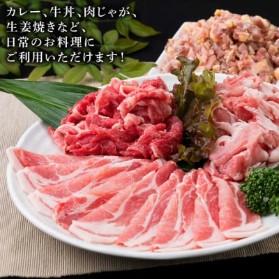 【全3回定期便】牛肉 豚肉 鶏肉 日常使いの精肉セット1,930g 4-5人前4種[ACA197]