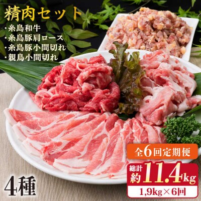 【全6回定期便】牛肉 豚肉 鶏肉 日常使いの精肉セット1,930g 4-5人前4種[ACA198]