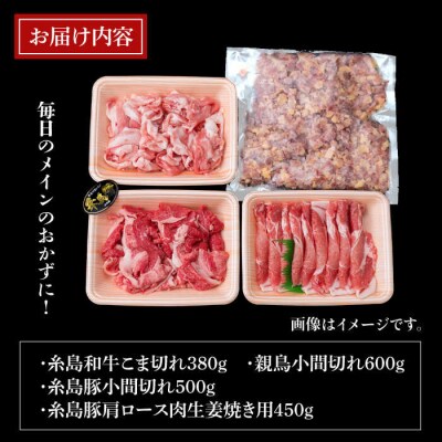 【全6回定期便】牛肉 豚肉 鶏肉 日常使いの精肉セット1,930g 4-5人前4種[ACA198]
