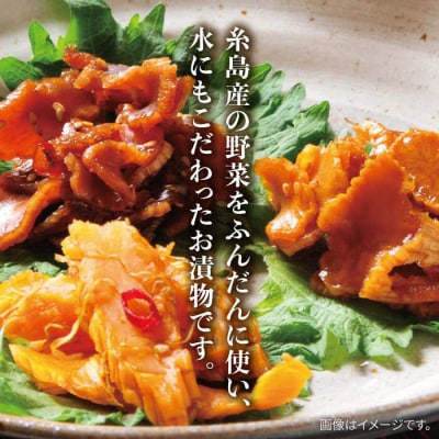 【全6回定期便】荒木さん家の こだわり 漬物 6種 詰め合わせセット  [ACE003]