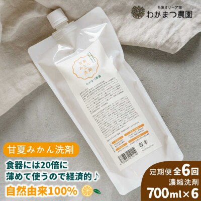 【全6回定期便】【植物 由来】万能 濃縮 甘夏 みかん 洗剤/ わかまつ農園 [AHB018]