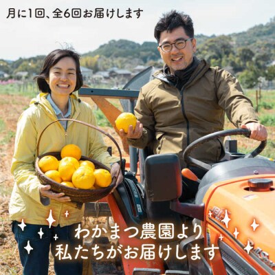 【全6回定期便】【植物 由来】万能 濃縮 甘夏 みかん 洗剤/ わかまつ農園 [AHB018]