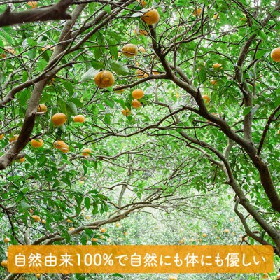 【全6回定期便】【植物 由来】万能 濃縮 甘夏 みかん 洗剤/ わかまつ農園 [AHB018]