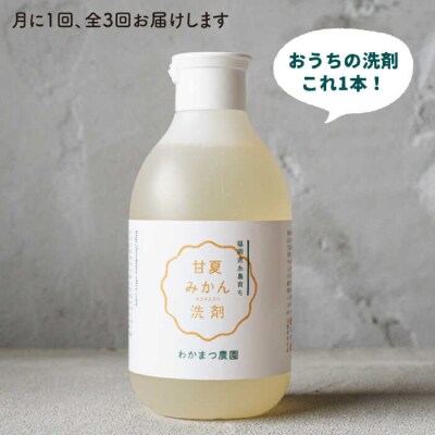【全3回定期便】【植物 由来】 万能 濃縮 甘夏 みかん 洗剤/わかまつ農園 [AHB020]