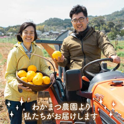 【全3回定期便】【植物 由来】 万能 濃縮 甘夏 みかん 洗剤/わかまつ農園 [AHB020]