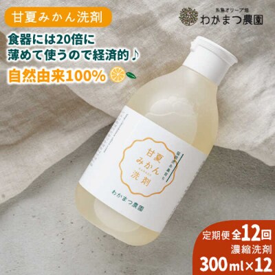 【全12回定期便】【植物由来】 万能 濃縮 甘夏 みかん 洗剤/わかまつ農園 [AHB022]