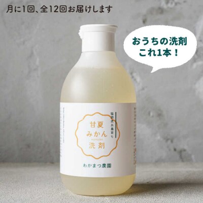 【全12回定期便】【植物由来】 万能 濃縮 甘夏 みかん 洗剤/わかまつ農園 [AHB022]