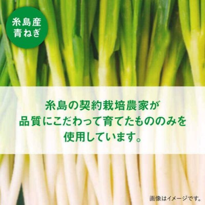 糸島 青ねぎ ゆず胡椒 110g×5本セット  【山口食品工業株式会社】 [ABI001]