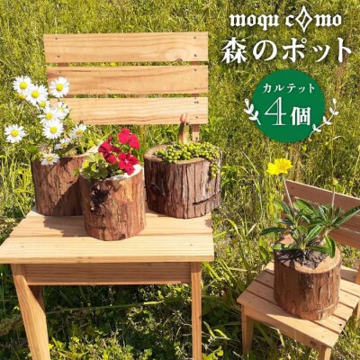 《 森のポット 》 カルテット (4個セット) 【木工房moquc0mo】 [AHF001]