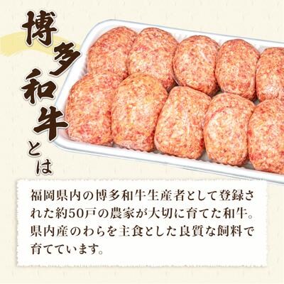 【全6回定期便】A4ランク博多和牛入り特製生ハンバーグ130g×10個×6回  [ACA255]