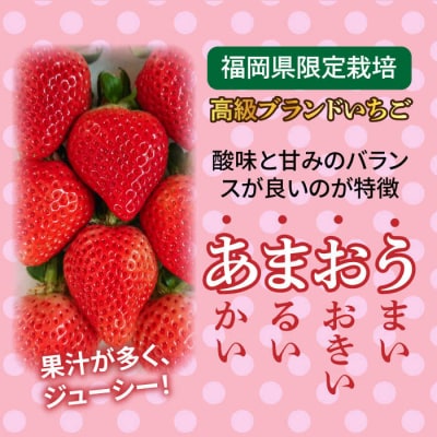 【先行受付】【農家直送!】糸島産あまおう 280g×2P(DXまたはGサイズ) [AML001]