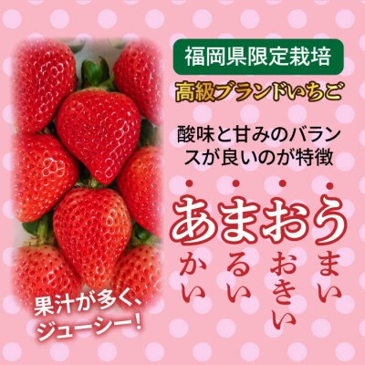 【先行受付】【農家直送!】糸島産あまおう 280g×2P(DXまたはGサイズ) [AML001]