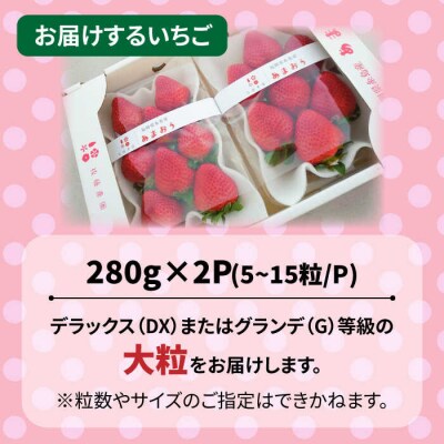 【先行受付】【農家直送!】糸島産あまおう 280g×2P(DXまたはGサイズ) [AML001]