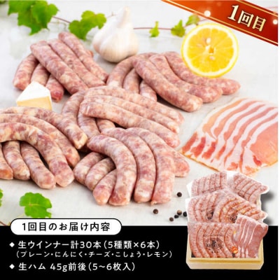 【全3回定期便】バラエティ定期便 (ウインナー/ハム/生ウインナー/生ハム)[AAC009]