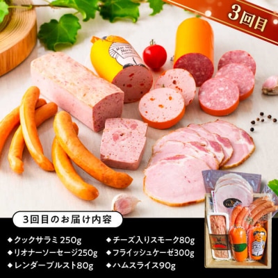 【全3回定期便】バラエティ定期便 (ウインナー/ハム/生ウインナー/生ハム)[AAC009]