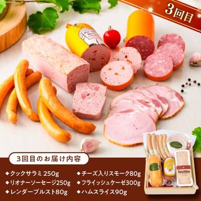 【全3回定期便】バラエティ定期便 (ウインナー/ハム/生ウインナー/生ハム)[AAC009]