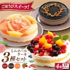 フルーツ/チョコムース/レアチーズ ホールケーキ 3種 冷凍[AQD017]